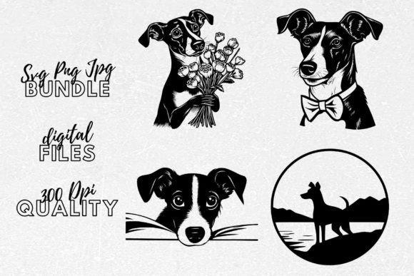 Reviewing the Rat Terrier SVG for Embroidery Projects
